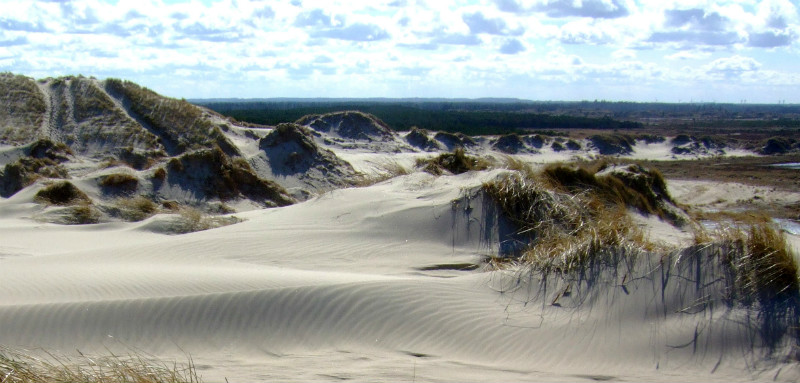 The Råbjerg Mile