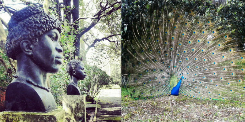 Tropical Botanical Garden