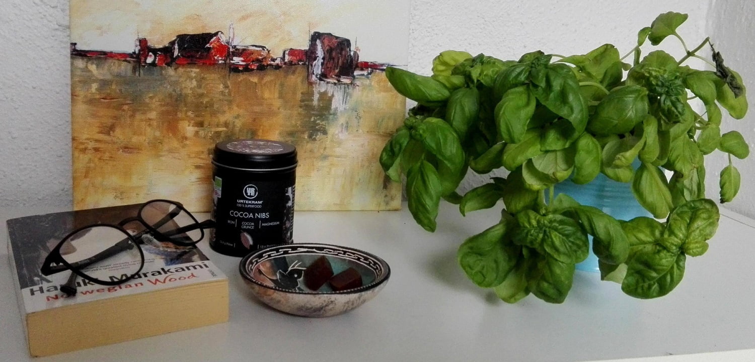 Basil plant named Claus