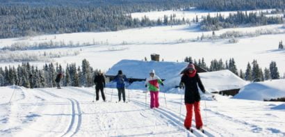 Cross country skiing