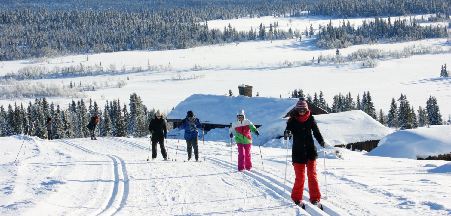 Cross country skiing
