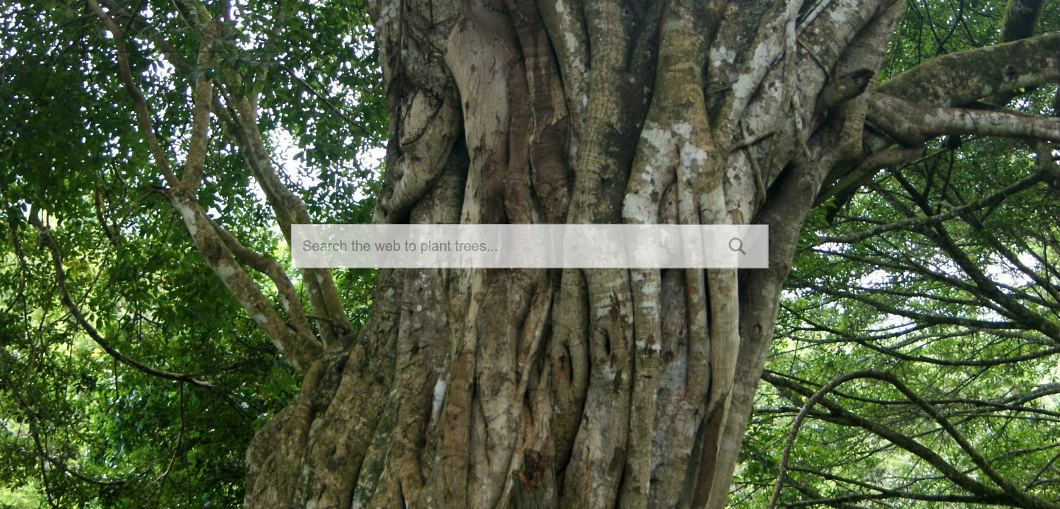 Trees for search