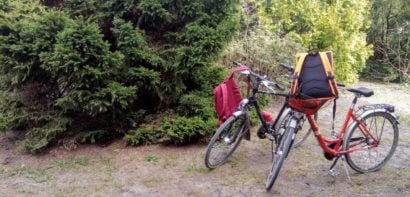 Bikes in the forest