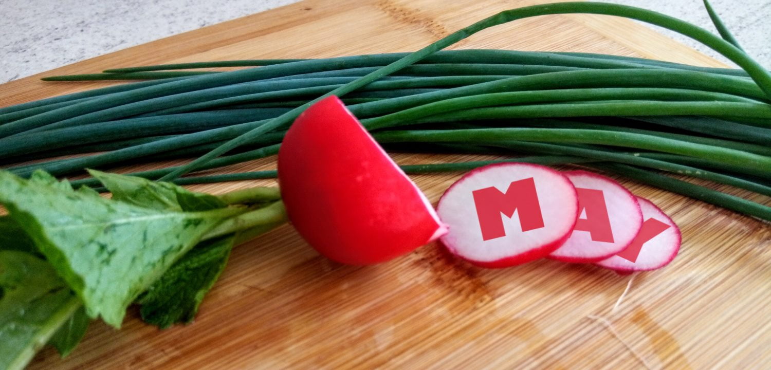 Radishes and Spring Onions