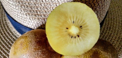 Golden kiwi fruit