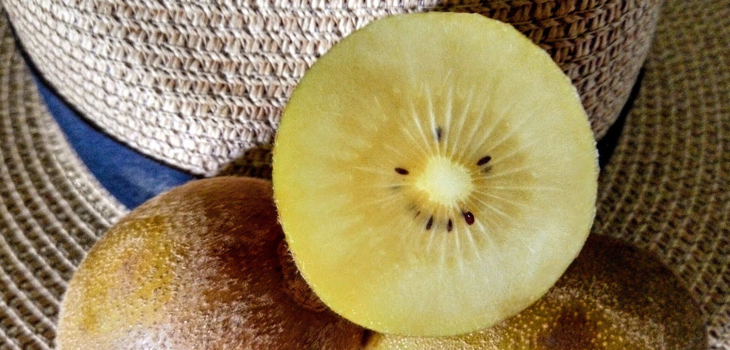 Golden kiwi fruit