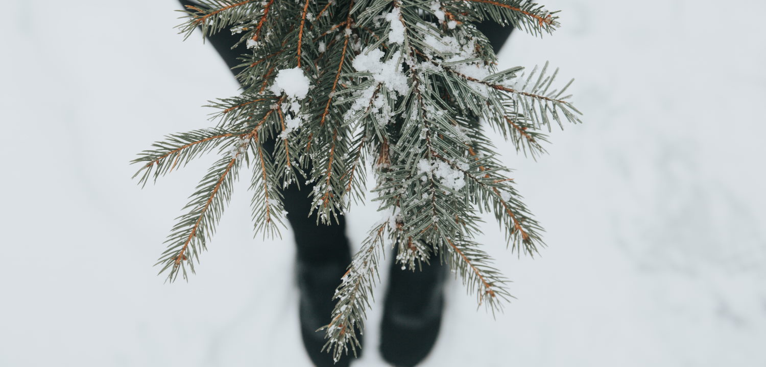 Girl standing in the snow holding fir tree branches